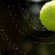 12 ir jaunesnių, 14 ir jaunesnių LR reitinginis teniso turnyras Palangoje