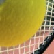 Klubo Tennis Star naujokų turnyro rezultatai